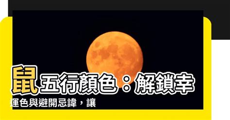 老鼠的幸運色|【屬鼠 顏色】屬鼠者的幸運色：解開財運、好運的秘密